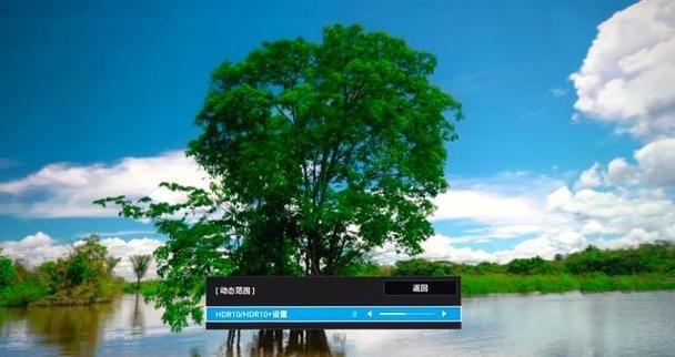 Điều này hoàn toàn dễ hiểu khi đa số các người đẹp đi theo phong cách gợi cảm hay cưa sừng làm nghé thì Lý Nhã Kỳ chọn cho mình phong cách công nương.