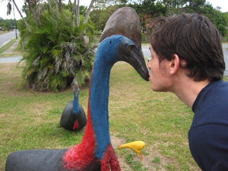 Mặc dù chủ yếu ăn trái cây nhưng nếu bị quấy rầy, đà điểu Cassowary sẽ trở nên cực kì hung dữ và tấn công bằng cách nhảy từ xa, dùng móng vuốt của mình để hạ mục tiêu.