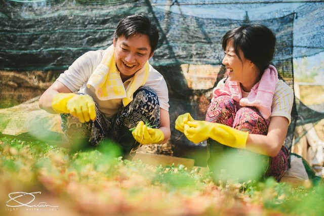 Bộ ảnh cưới chụp theo phong cách “Nông dân thời hiện đại” như ở Hàn Quốc của cặp đôi Việt Dũng – Minh Trang khiến nhiều người thích mê.