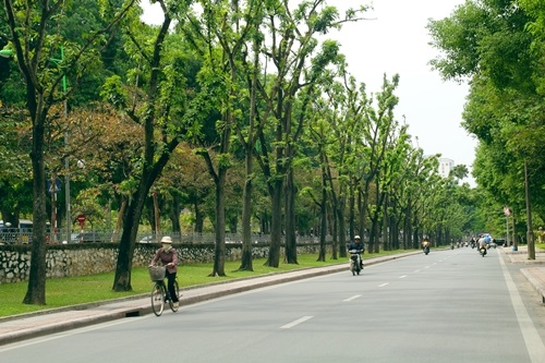 Hàng cây không chỉ che mát, chắn bụi mà còn trở thành người bạn thân thiết của người Hà Nội.