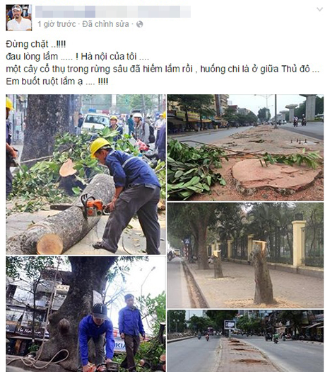 Nhói lòng cư dân mạng tìm cách