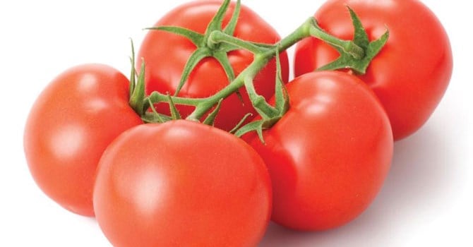 Vitamin C trong cà chua có tác dụng giải khát, hỗ trợ tiêu hoá, làm mát máu, điều hoà gan, thanh nhiệt giải độc, giảm huyết áp. Do đó cà chua là thực phẩm hỗ trợ trị liệu rất tốt cho những người bị huyết áp cao, hay bệnh thận.