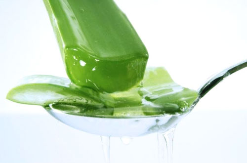 3 loại lá cây giúp trị gàu nhanh chóng