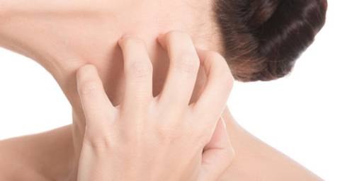Khi Sh88bet đăng ký miễn phí bạn hay bị mẩn ngứa thì đây cũng là dấu hiệu cảnh báo bạn bị nhiễm độc, hãy lưu ý.