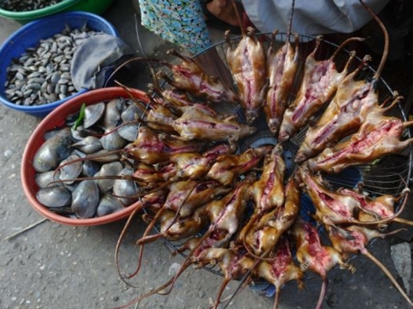 Rẻ nhất: Chuột phá hoại mùa màng ở vùng nông thôn Việt Nam nên nông dân bắt chúng, bọc trong lá chuối và bán chúng như một Shbet0099 cá cược trực tuyến với mức giá siêu rẻ. Dơi hay chuột cũng là Shbet0099 cá cược trực tuyến phổ biến của nhiều nước Đông Nam Á khác.