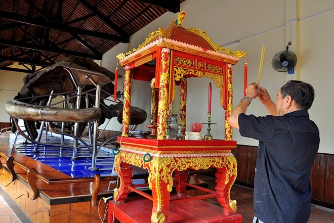 Kỳ bí chuyện dân thờ cúng bộ xương cá Ông khủng nhất Việt Nam