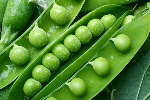 Đậu có hàm lượng Vitamin A giúp dưỡng ẩm da hiệu quả.