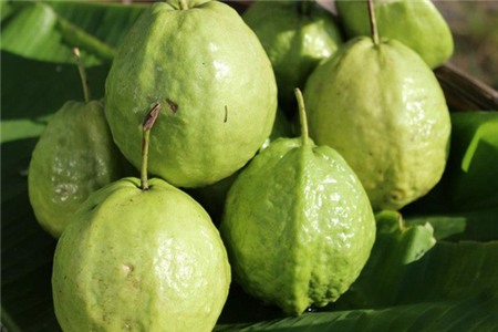 Loại quả mùa hè giúp chặn đứng bệnh tiểu đường
