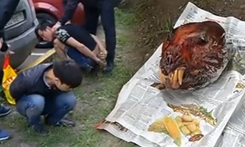 Ngày 15/5, tại Lyublino, Moscow, cảnh sát đã bắt được 2 công dân Việt Nam đang có ý định tiêu thụ đầu của một con hổ Amur, một loài vật quý trong Sách Đỏ.