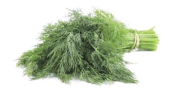 2 loại rau quen thuộc chữa rối loạn kinh nguyệt hiệu quả