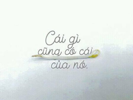 Cái gì cũng có giá của nó!