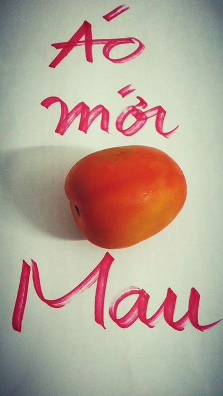 Áo mới Cà Mau.