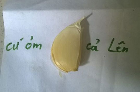 Cứ ỏm tỏi cả lên.