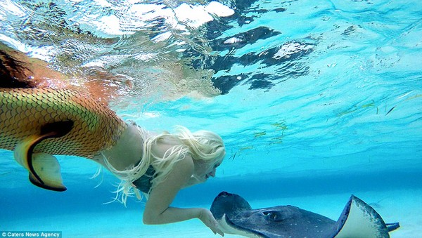 Cô thỏa sức nô đùa, tung tăng dưới đại dương và kết bạn với các loài động vật biển.