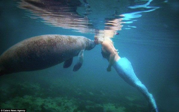 Antonio Padilla gặp Melissa vào năm 2009, khi họ cùng làm nghề biểu diễn viên thủy cung tại Sea World.