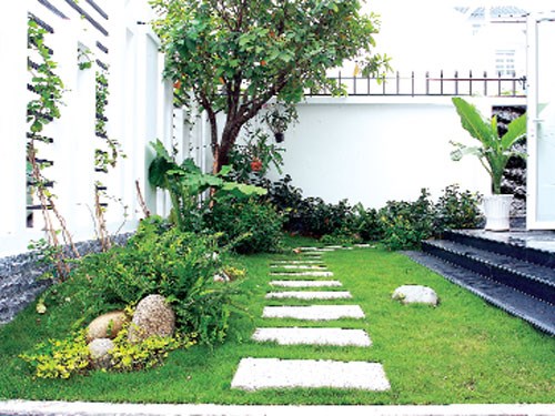 Cách trồng cây xanh đúng phong thủy