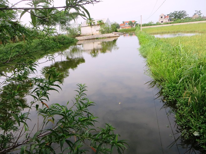Nghệ An: Bà ngất lịm khi thấy thi thể 3 cháu bị đuối nước