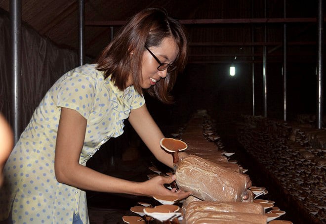 Nữ sinh 9X tự mở công ty thu lãi 70 triệu đồng/tháng