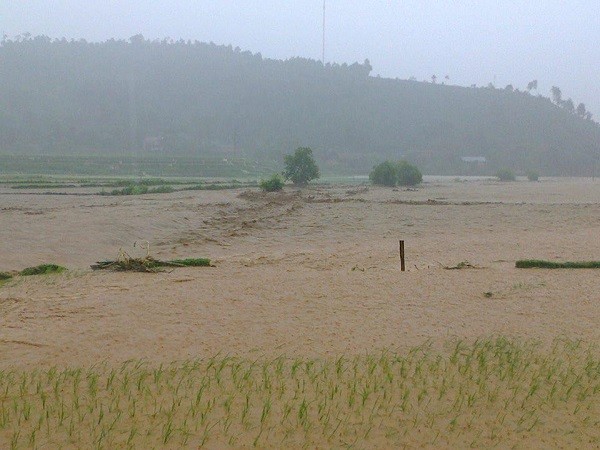 Mưa lũ tàn phá hoa màu ở Lào Cai. Ảnh: Lao động