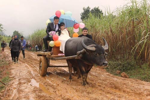 Choáng váng với những Quatrian shbet hiện đang mở “siêu độc” tại Việt Nam