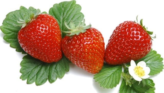 Nguồn lycopene trong dâu tây nhiều giúp chống lại quá trình oxi hóa và lão hóa da nó còn giúp tăng sản xuất collagen chống lại quá trình lão hóa.