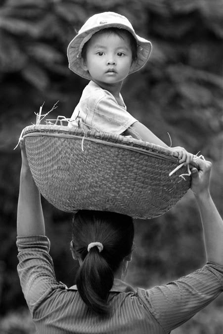 Với mẹ con là tất cả.