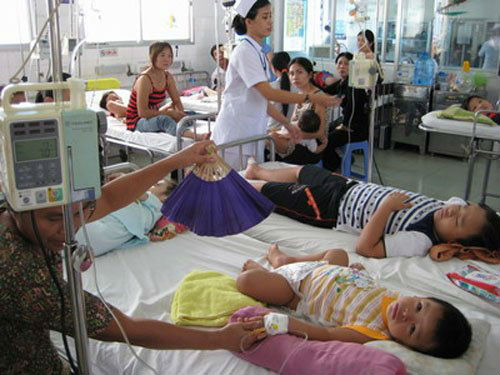 Hà Nội bùng phát bệnh sốt xuất huyết tại 29/30 quận, huyện
