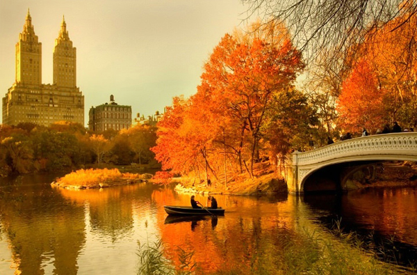 Lọt thỏm giữa hàng nghìn tòa nhà chọc trời ở New York, là Công viên Trung tâm. Kể từ khi hình thành năm 1857 tới nay, nơi này luôn trở thành một trong những điểm đến ấn tượng trên thế giới. Ở đây, mùa thu rất khác lạ bởi ngoài việc được đi bộ trên con đường trải lá vàng, được ngắm những hàng cây nhiều màu sắc, được hít thở những cơn gió mát rượi, bạn còn được cưỡi ngựa, ngắm chim...