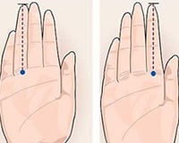 Ngón tay áp út nói gì về bản lĩnh phòng the của bạn?