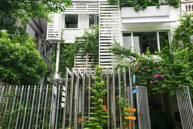 Mặt tiền được phủ bởi các tấm nan làm từ hỗn hợp xi măng, bột gỗ hạn chế tác động của mưa nắng lên những mặt tường không trát. Đó cũng là hệ khung cho cây leo có thể bám và mọc xen kẽ giúp cho công trình trở thành một khối xanh.