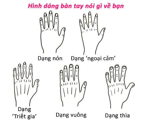 Hình dáng bàn tay nói gì về bạn?