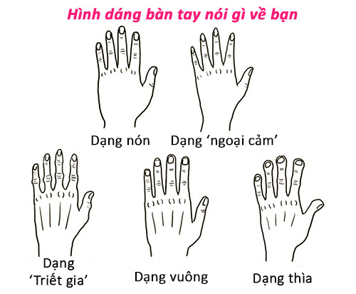 Hình dáng bàn tay nói gì về bạn?