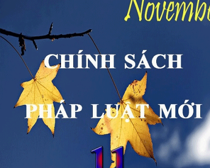 Những chính sách đáng lưu ý có hiệu lực từ tháng 11