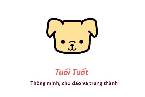 Sinh năm 1982 là tuổi gì, mệnh gì?