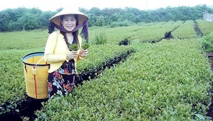 Đã xác định được loại thuốc dùng để hạ độc bà Hà Linh