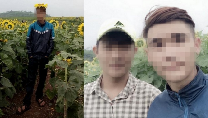 Nhóm thanh niên phá hoại đồng hoa hướng dương gây phẫn nộ