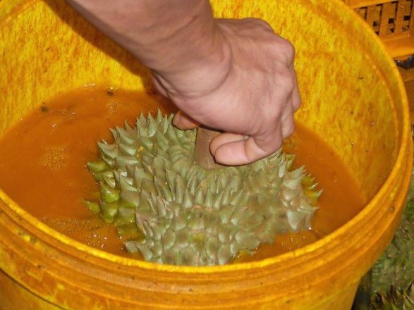 Muôn kiểu