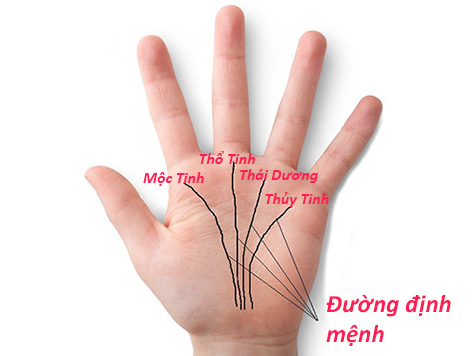 Chọn lựa Shbet800 khuyến mãi siêu lớn tương lai dựa vào đường định mệnh