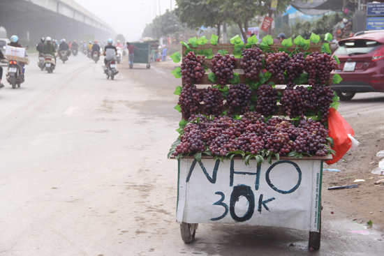 Giật mình hoa quả