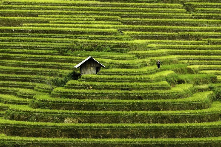 Từ mùa hè năm 2013, Rehahn đã bắt đầu ghi lại cảnh sắc, con người Việt Nam. Hai bộ ảnh về đất và người Hội An cùng những nụ cười bẽn lẽn của người dân nơi đây vẫn còn rất nổi tiếng và được đông đảo người yêu thích. Ảnh: Ruộng bậc thang Mù Cang Chải.