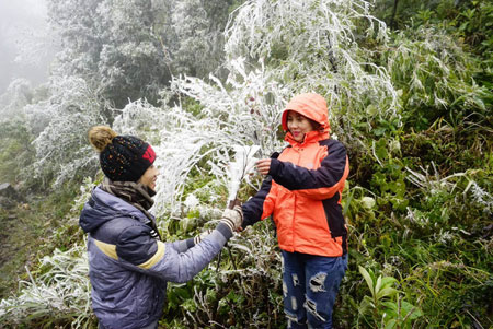 Tháng Tết Nguyên đán sẽ không có những đợt rét kéo dài