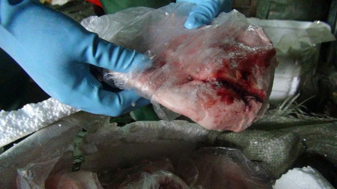 Phát hiện hơn 2 tấn nầm lợn sữa Trung Quốc sắp thành nầm dê