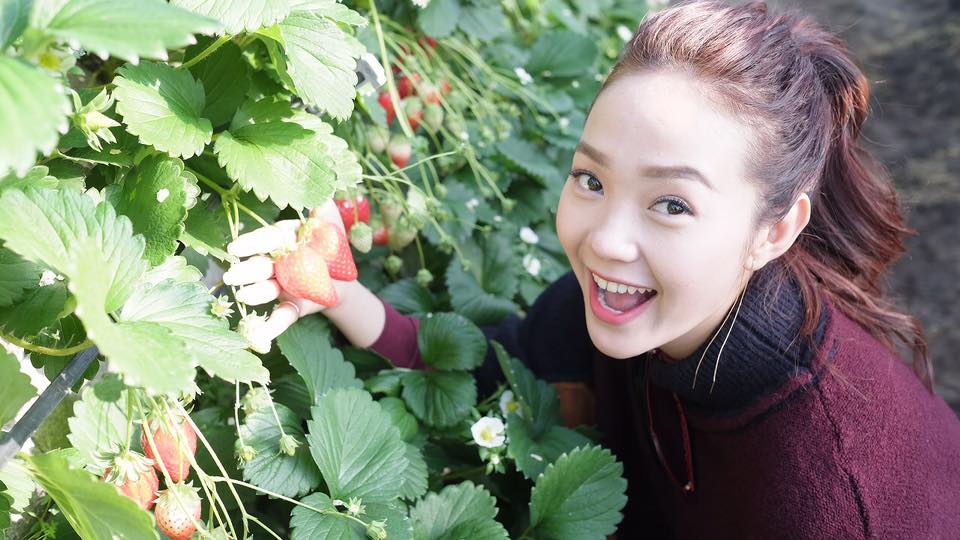 Ca sỹ Minh Hằng nhí nhảnh khoe dáng xinh bên vườn dâu.