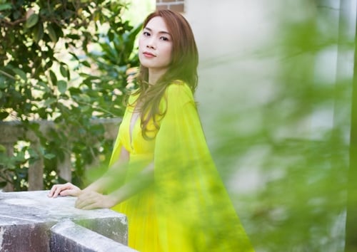 Những ấn tượng đáng nhớ của Mỹ Tâm trong năm 2015