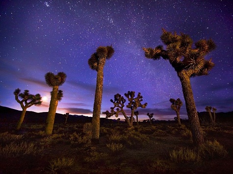 18. Thung lũng Tử Thần, California, Mỹ: Mang cái tên đáng sợ nhưng thực sự cảnh vật về đêm của thung lũng Tử Thần lại chẳng đáng sợ chút nào. Dải Ngân Hà lấp lánh  trên những cây Joshua cao vót tạo khung cảnh huyền hoặc mê người. Ảnh: Marc Adamus.