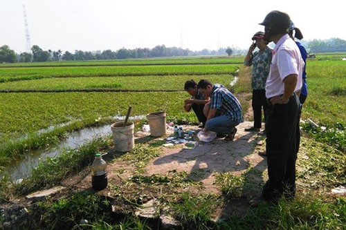 Bắt quả tang chủ ruộng rau tưới nhớt thải lên rau muống tại TPHCM