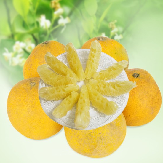 Điểm danh những món “đặc sản” biếu Tết giá “khủng”