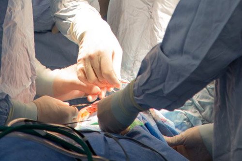 Dân Anh chi bộn tiền để Shbet888 tiền thưởng cực khủng thay đổi màu mắt