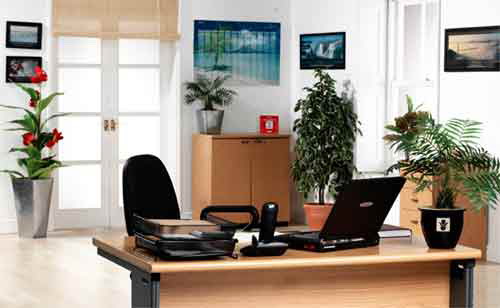 Phong thủy cho sự nghiệp năm Bính Thân 