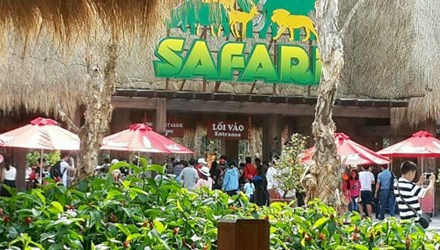 Thực hư chuyện hàng ngàn động vật chết tại Vinpearl Safari